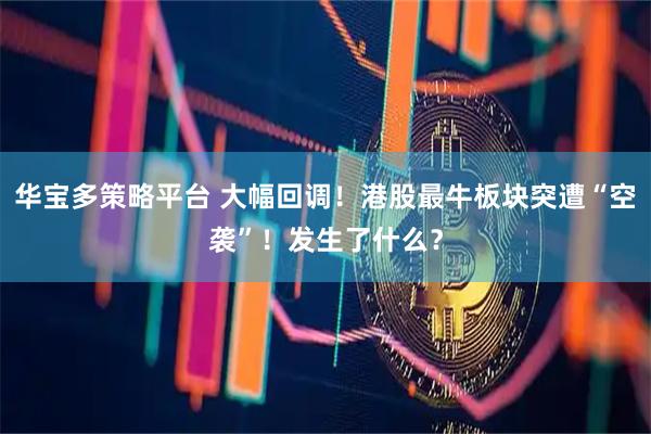 华宝多策略平台 大幅回调！港股最牛板块突遭“空袭”！发生了什么？