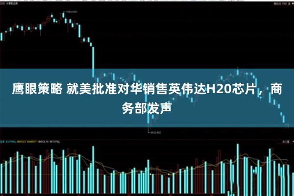 鹰眼策略 就美批准对华销售英伟达H20芯片，商务部发声