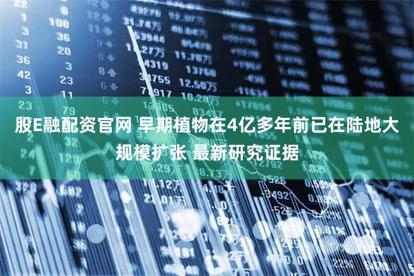股E融配资官网 早期植物在4亿多年前已在陆地大规模扩张 最新研究证据
