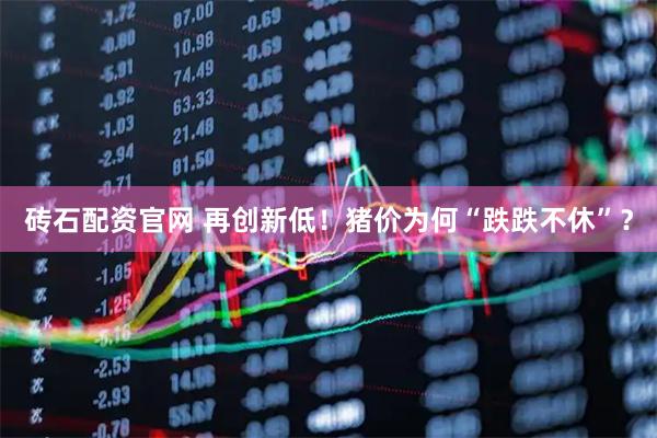 砖石配资官网 再创新低！猪价为何“跌跌不休”？